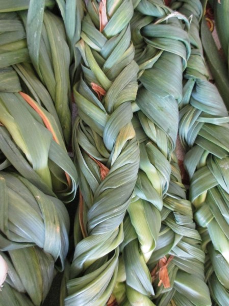 garlic braid leaves