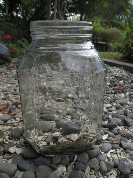 Terrarium making rocks and shells in the jar