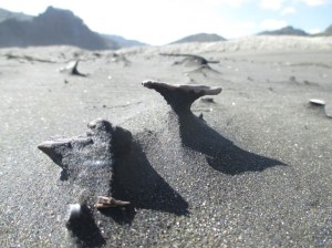 Karekare sandsculptures3