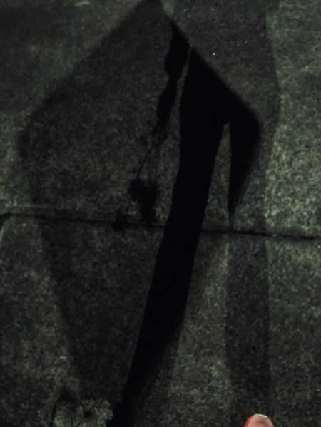 Lockdown walks crossoever shadow