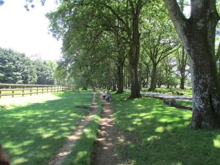 kids riding in Cornwall park