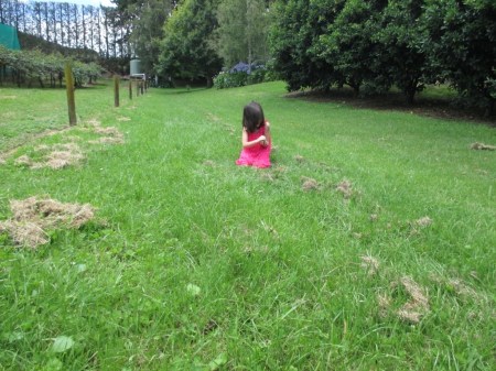 Luna sitting with rabbit