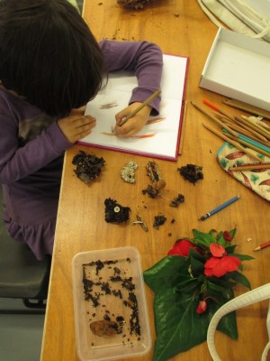 Luna sketching her mushrooms2