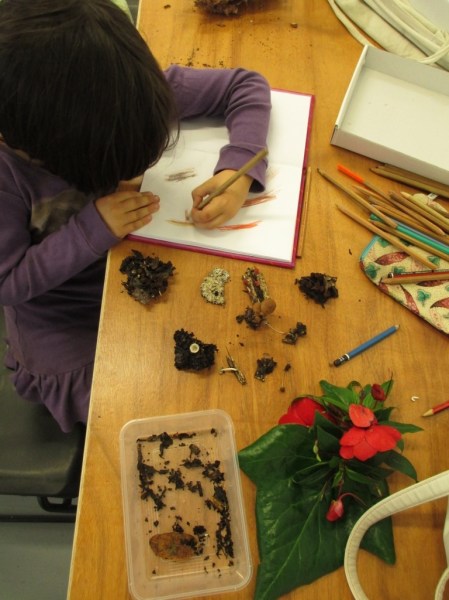 Luna sketching her mushrooms2