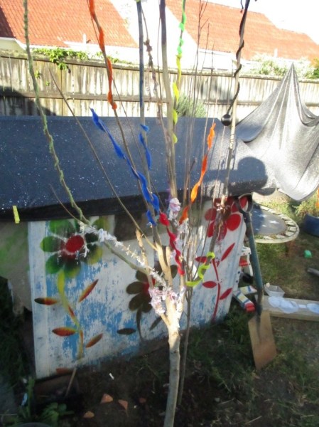 Luna's tree decorated