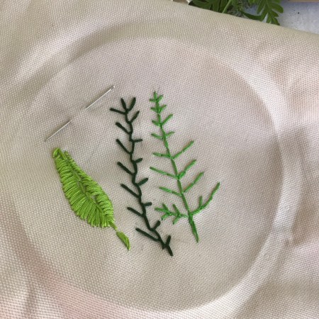 Mycelia:Mycelium childrens workshop ferns sampler