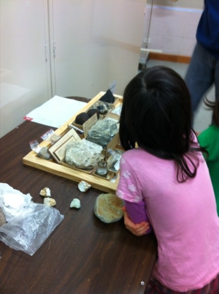 Luna and the rock tray