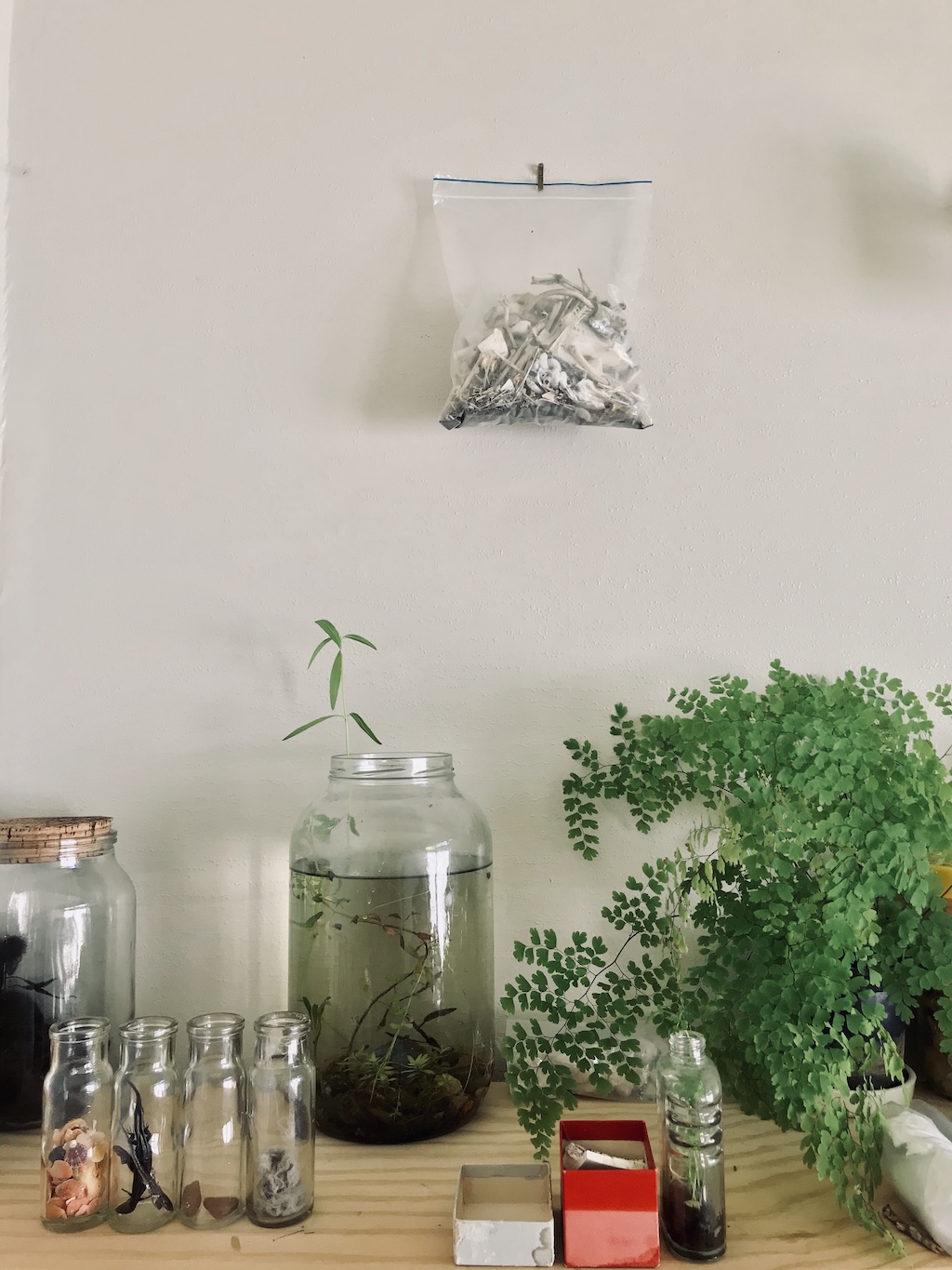 i used to find dead insects in your pockets3