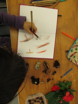 Luna sketching her mushrooms two pencils