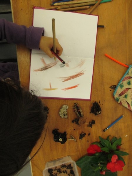 Luna sketching her mushrooms two pencils