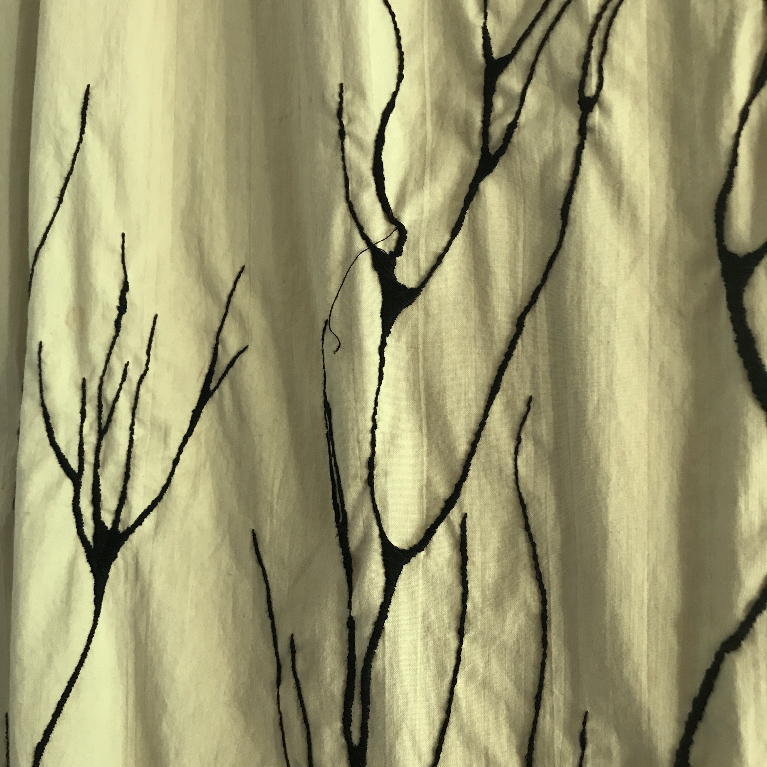 Mycelia:Myceliuim, 2017, Angela Carter, detail copy