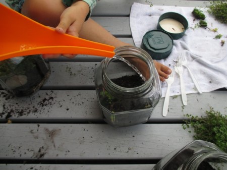 Terrarium making watering