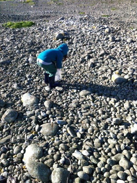 boulderbank Blake collecting