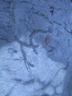 long crossing fossil