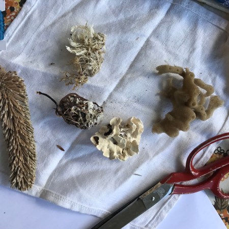 Mycelia:Mycelium childrens workshop07