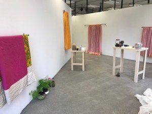 I used to find dead insects in your pockets69 wide view low res