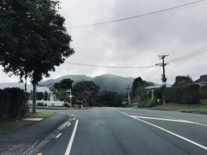 Lockdown walks Kamo low cloud