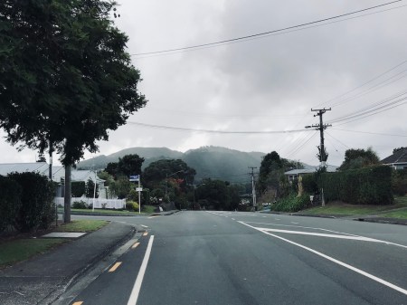 Lockdown walks Kamo low cloud