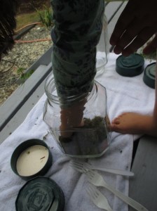 Terrarium making filling the jar