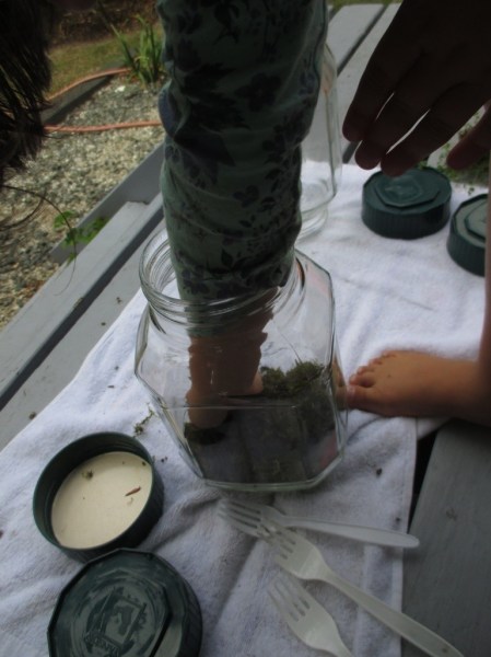 Terrarium making filling the jar