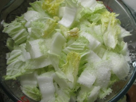 Kimchi salted wong bok