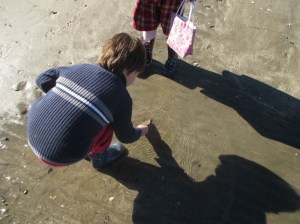 dead flounder in water