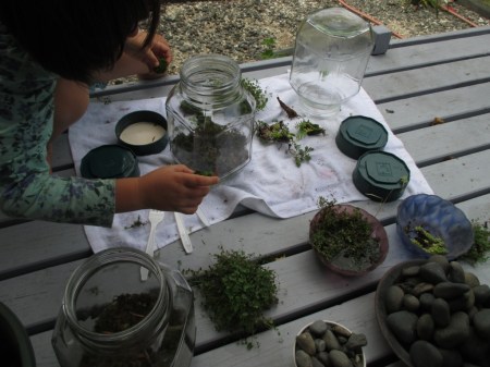 Terrarium making planting