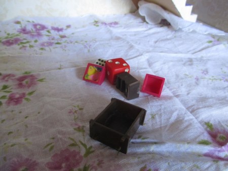 doll house borrowings