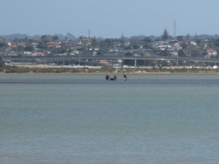 Eric Armishaw res beach whale distant detail2