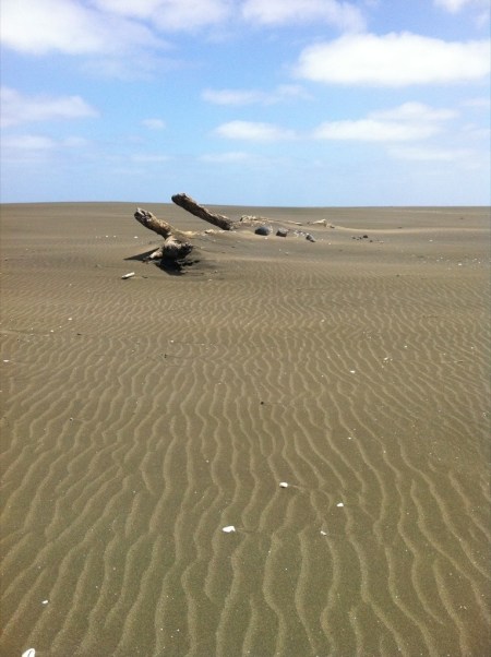 Karekare sand log