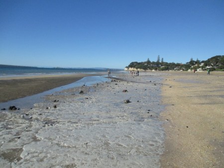ash on the beach exposed