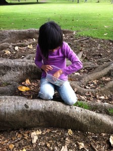 Cornwall park adventure Luna collecting specimens