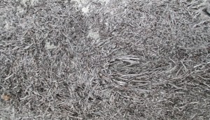 black twisting punga long log