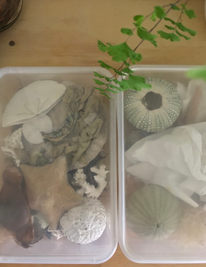 I used to find dead insects in your&nbsp;pockets