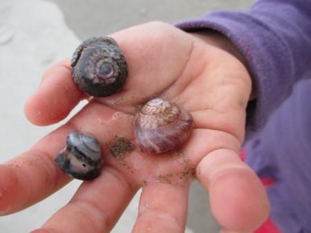 Luna holding wheel shells