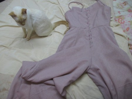 Vogue 5435 pants and Austin ready to sew