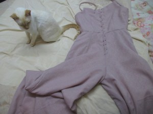 Vogue 5435 pants and Austin ready to sew