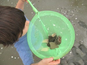 Blake and his net load of kina