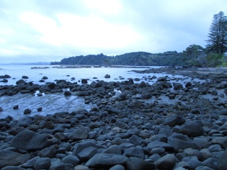 rocky shore