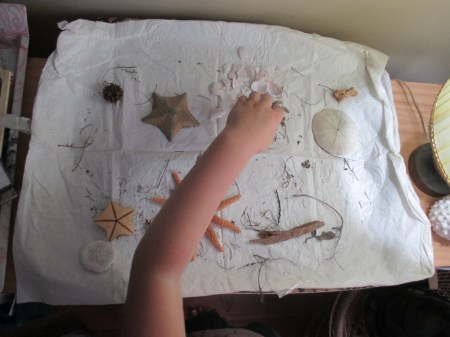 Blake looking at sea stars