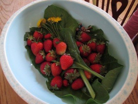 strawberry salad