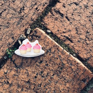 Lockdown walks let them eat cake