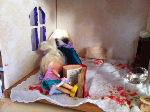 Luna's doll house reading room
