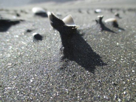 Karekare sandsculptures2