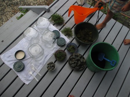 Terrarium making