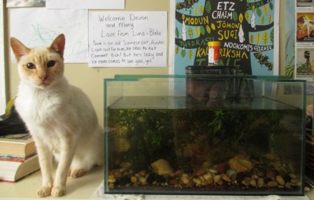 Austin next to the aquarium