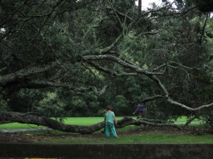 Blake and Luna under the tree