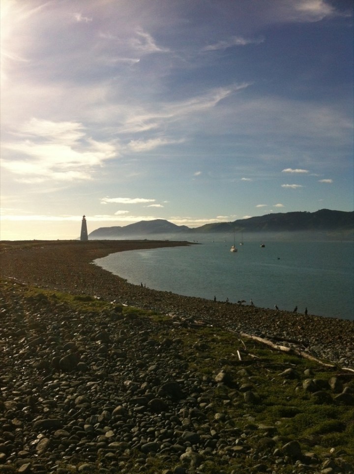 The lighthouse and the&nbsp;lichen