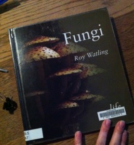 Fungi by Roy Watling