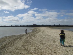 Eric Armishaw res sand bar